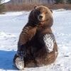 bbwthreadsplus